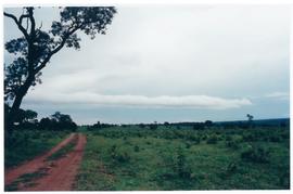 Pesquisa Mundial de Saúde - Área rural de Campo Grande/MS