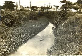 Condições sanitárias em região da cidade de Recife/PE